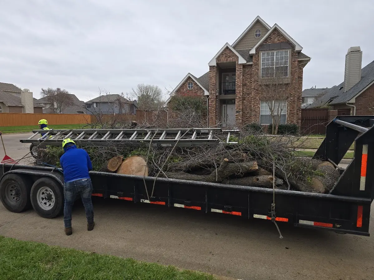 Expert Lot Clearing with proper safety equipment in Yale